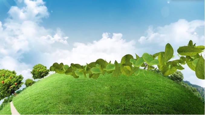 深圳市全國低碳日主題活動(dòng)視頻及準(zhǔn)備工作花絮